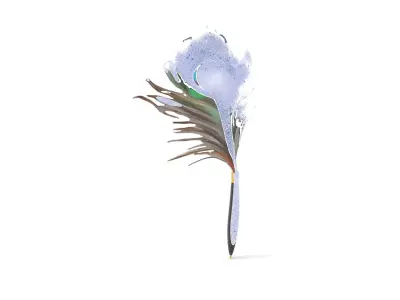 Elegant Peacock Quill Pen model pack Low-poly 3D model