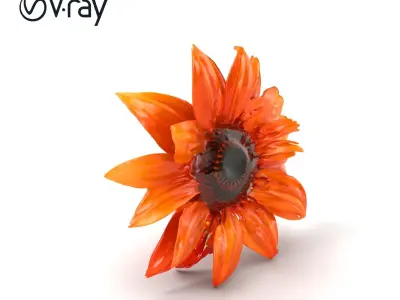 Orange Sunflower Lifelike 3D Model Pack Low-poly 3D model
