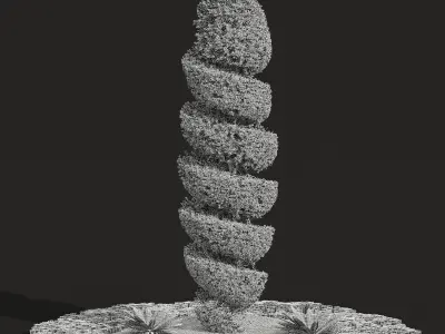 Concinna Bonsai Pruned04 3D model