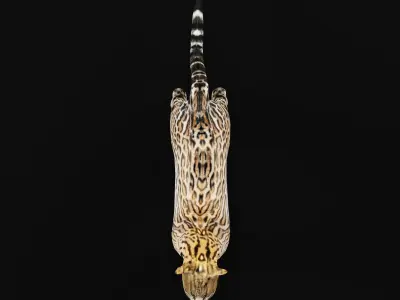 Ocelot Wild Cat Low-poly 3D model