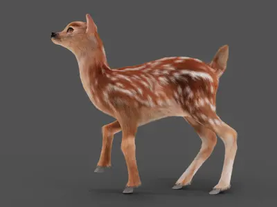 Fur Fawn Deer Rigged Blender Low-poly 3D model