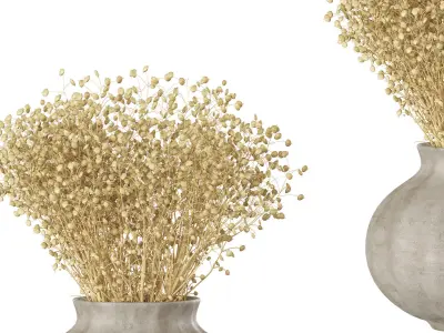 Bouquet - Dry plants 02 3D model