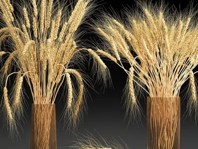 Decorative bouquet of wheat ears in a vase for decor 123 3D model