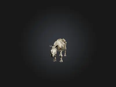 Realistic Rhinoceros Skeleton Model Low-poly 3D model