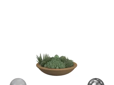Succulent Pot 3D model