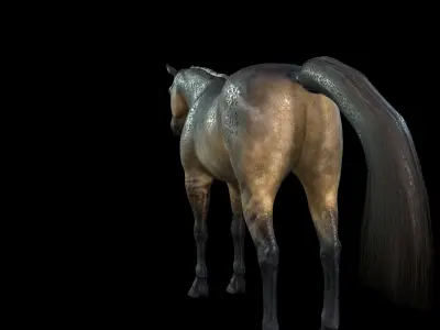 Thoroughbred Arabian Horse WILD WORLD PONY 5 Low-poly 3D model