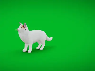 Turkish Van Domestic Cat Low-poly 3D model