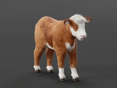 Hereford Cattle Calf Low-poly 3D model