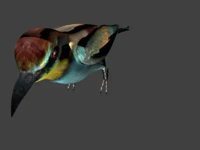 low poly bird Low-poly 3D model
