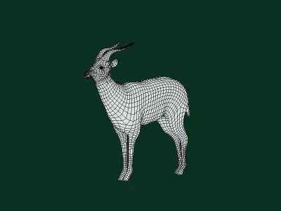 Springbok Antelope Animal  Low-poly 3D model