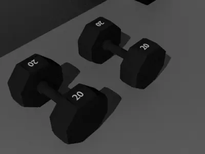 Fitness Gear Home Workout Bench Free 3D model