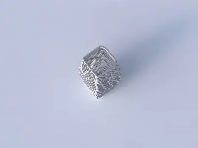 Vase rectangle with faceted and twisted organic lattice 2 3D print model