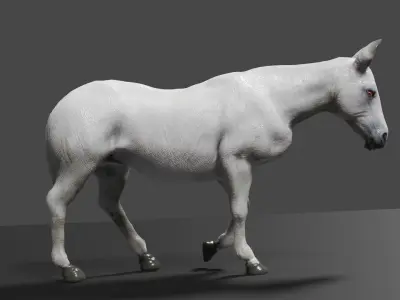 WHITE HORSE ANIMATED Low-poly 3D model