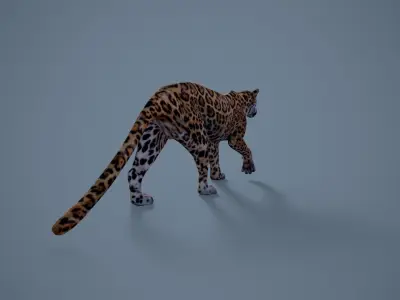 Jaguar Low-poly 3D model
