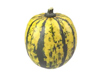 Photorealistic Decorative Gourd 3D Scan 2 3D model