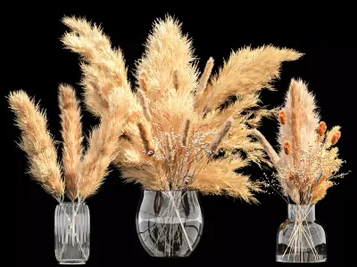 Dry Plants Bouquet Pampase Indoor Glass vase 3D model