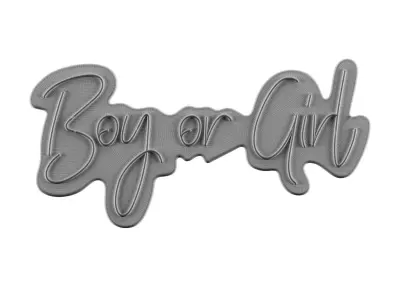 Boy Or Girl Neon Sign 3D model
