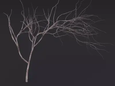 Thin Branch Low-poly 3D model