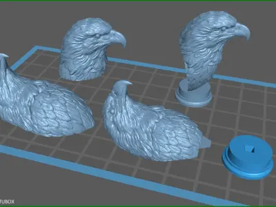 Eagle head 3D print model get