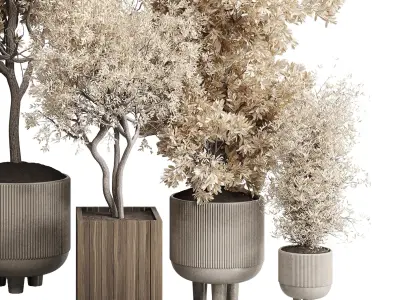 Indoor plant autumn set 333 concrete vase plant tree bush pot  Low-poly 3D model