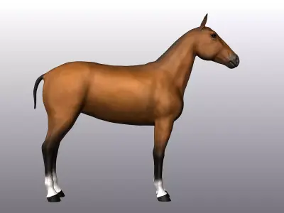Horse Low-poly 3D model