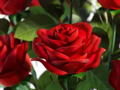 Flower Set 03 - Red Roses Bouquet 3D model