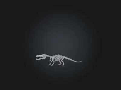 Realistic Crocodile Skeleton Model Low-poly 3D model
