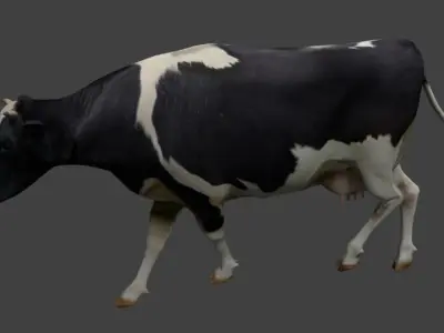 Cattle cow Low-poly 3D model