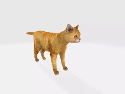 cat 3d orange 3D model
