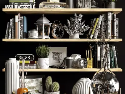 Decorative set shelves 2 3D model