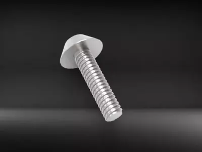 Pin Head Screw Model 3D print model