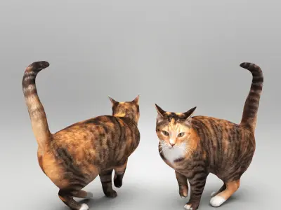 Cat 25 Low-poly 3D model