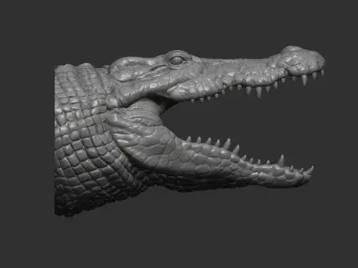 Crocodile head 3D print model
