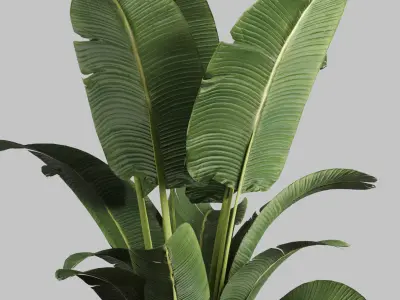 Indoor plant 80 pot plant concrete vase 3D model