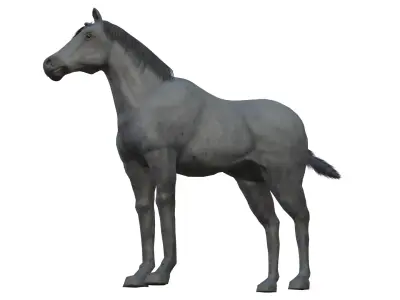 Horse and Donkey Low Poly Low-poly 3D model