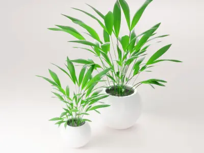 Home pot plant - palm decoration for interior design 3D model