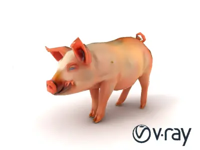 Realistic Pig Model with Pink Body model pack Low-poly 3D model