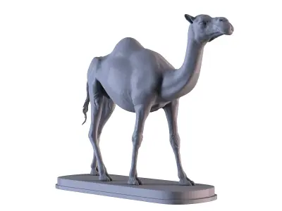 Camel statue of 3D print model