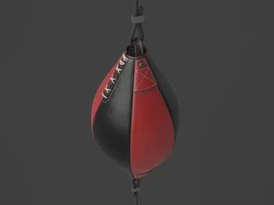 Punching Bag 7 3D model