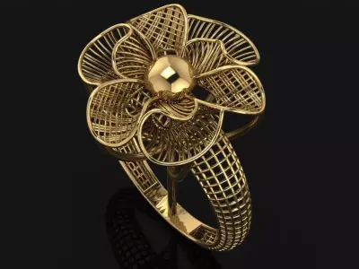 Turkish Ring 3D print model