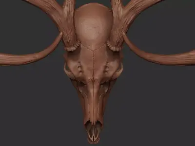 Deer Antler 01 Highpoly 3D model
