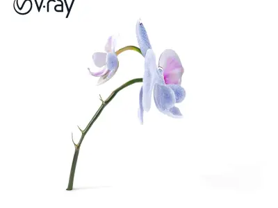 Orchid Flower D Model Pack  High Detail Asset Low-poly 3D model