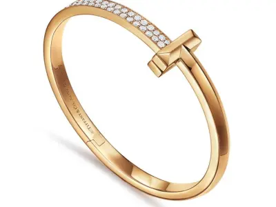 T1 Wide Diamond Hinged Bangle 3D print model