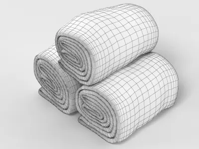 Towel Rolls 3D model
