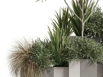 Plants collection 771 3D model