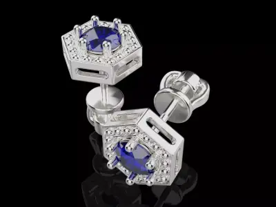 Earrings 007 3D print model