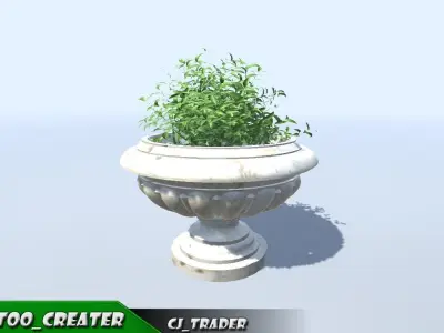 Decorative Hall Plant 3D Model   3D model