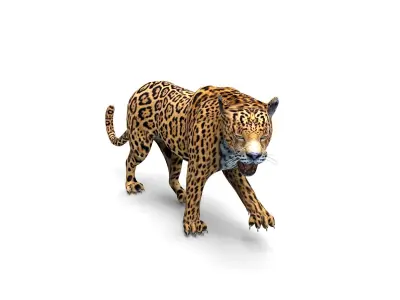 3D Leopard Rigged Model  Low-poly 3D model