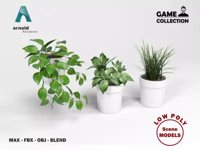 Plants pack 2 Low-poly 3D model