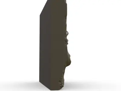 Struggle-Cry 3D print model